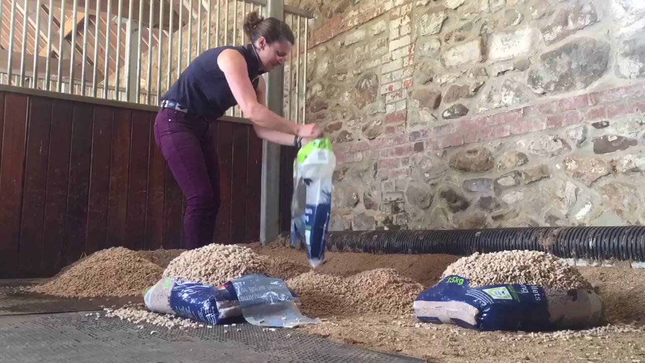 VERDO Original wood pellet bedding stable set up