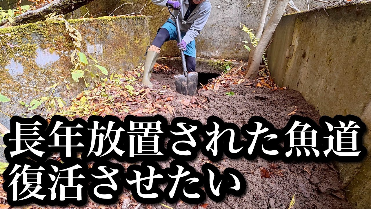 【魚道開通】長年放置され続けた魚道を復活させたい【リアルマイクラ】