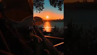 Scarlet Pleasure - SUNSHINE (Lyrics) | &quot;Sunshine on my face&quot; | WhatsApp Status | Aesthetic #sunshine