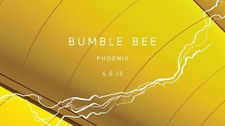 Zedd True Colors - Event #3 Phoenix, AZ - "Bumble Bee"