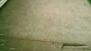 Laci es Suta tancol:)))Acalalibomba:))Mwm Laci es Suta tancol:)))Acalalibomba:))Mwm