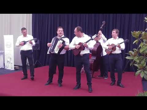 TS Taubeki - Skopje Beograd acoustic version