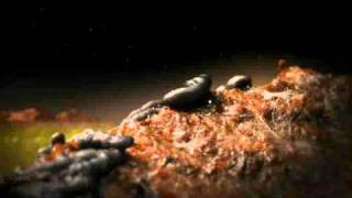 Planet Z (short film, 2011) - Trailer