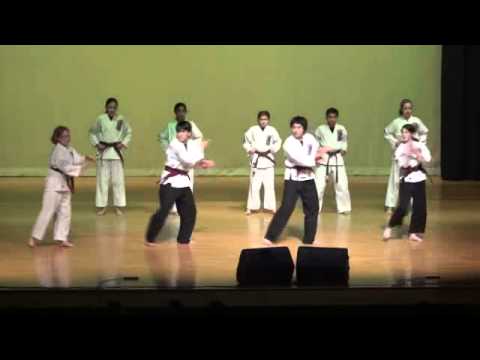 FSDC Karate demo NMS Talent Show 022013 PM