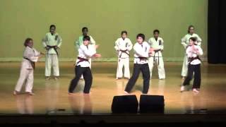 FSDC Karate demo NMS Talent Show 022013 PM