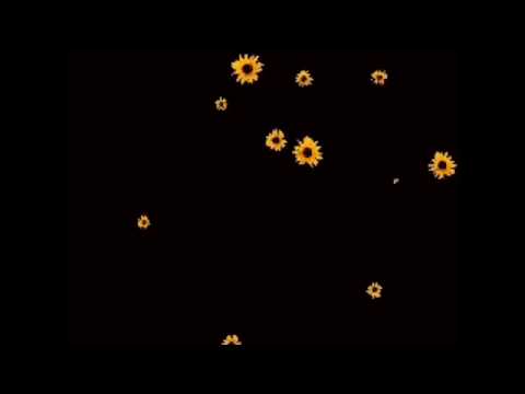 𝔹𝕒𝕘𝕘𝕒𝕘𝕖 / 𝔸𝕖𝕤𝕥𝕙𝕖𝕥𝕚𝕔𝕤 # 𝟡