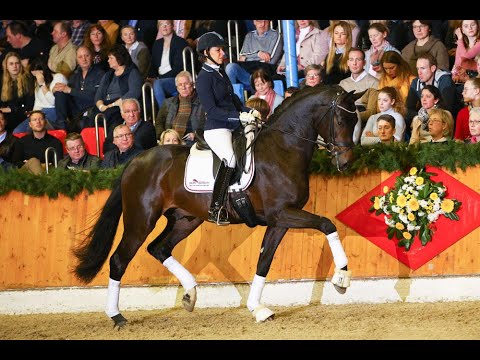 For Austria *2017 by For Romance I x Diamaond Hit (Sosath Stallion Show 2020)