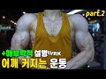 어깨 커지는 운동 & 해부학적인 설명 PART.2 / 어깨 넓어지는 운동