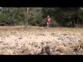 Clip Sede