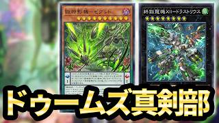 【めっちゃ伸びた】ドゥームズ真剣部【遊戯王MD】