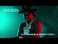 Kodak Black Vulnerable Free Cool Official Audio