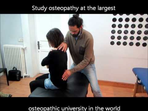 Doctor of Osteopathy Students Practicing Osteopathy in Madrid Campus of NUMSS (Spain)