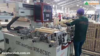 MÁY ĐÁNH MỘNG ÂM 2 ĐẦU WOODMASTER