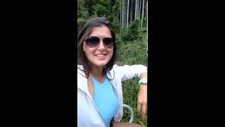 preview picture of video 'RedQueenTales Vlog #1: Check-in from the Carpathian Mountains'