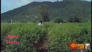 Allari bullodu 1978 movie song( super star Krishna