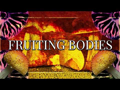 Fruiting Bodies
