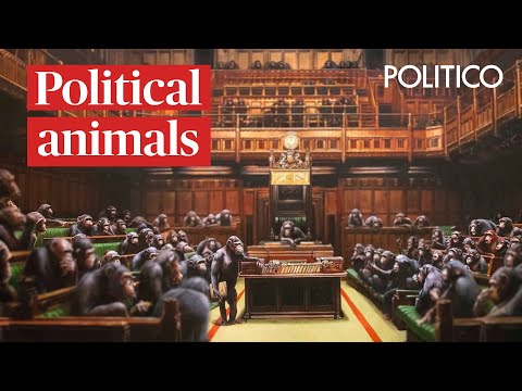 Political animals: How politicians and apes topple their leaders