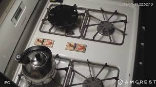 Mouse in Stove