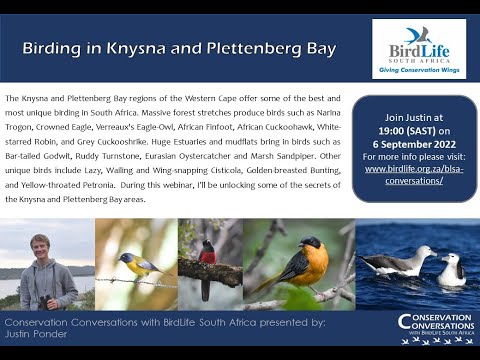 Conservation Conversations: Birding in Knysna and Plettenberg Bay - Justin Ponder (6 Sep 2022)