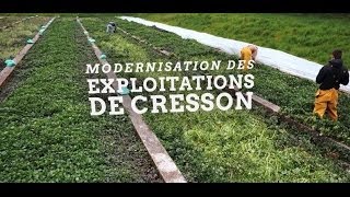 preview picture of video 'L'Européen d'à côté : Cressons de Fontaine en Ile-de-France'