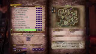ラージャンチャアクソロの練習