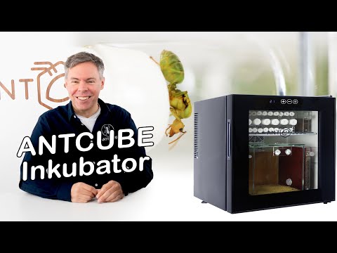 ANTCUBE Inkubator II - mit vielen neuen Verbesserungen