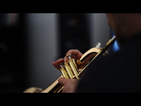 Phlocalyst Vibes - Studio Sessions (w/ M e a d o w & Sátyr) 🎺 [lofi / jazzhop / trumpet]