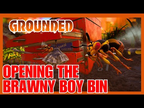 Opening the Brawny Boy Bin