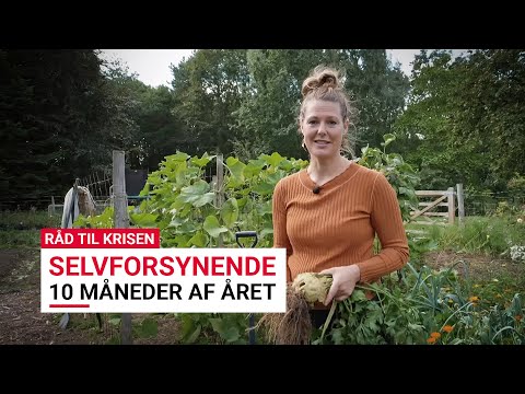 Råd til krisen - Køkkenhave