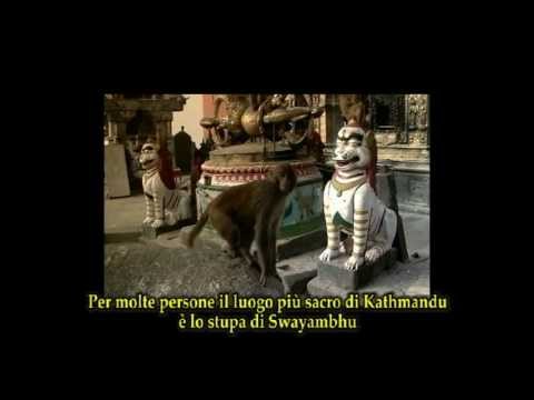 LOPON TSECHU RINPOCHE : il lama trasparente (sub ITA) 1_3