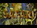 Endangered Species Safari The Sumatran Tiger Vhs 1999