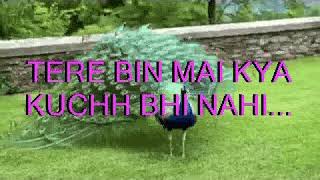 Meri Duniya Hai Tujhme Kahi karaoke with lyrics