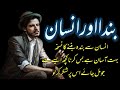 Insan Aur Banda Dukhi Status Golden Words Of Insan Top Urdu Quotes Best Urdu Quotes