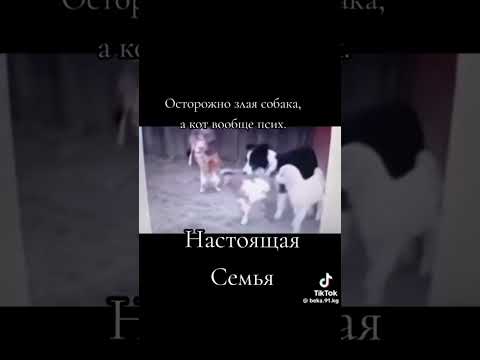 Храброе сердце ‼️🔥