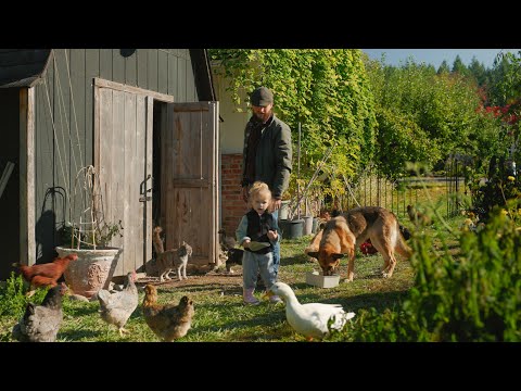 Peaceful Farm Life | First Frost, Morning Chores & Slow Living