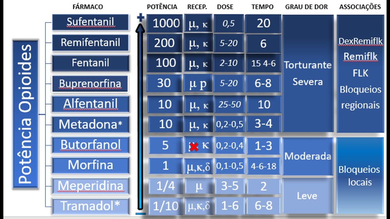 Summary of Opioids in Dogs and Cats