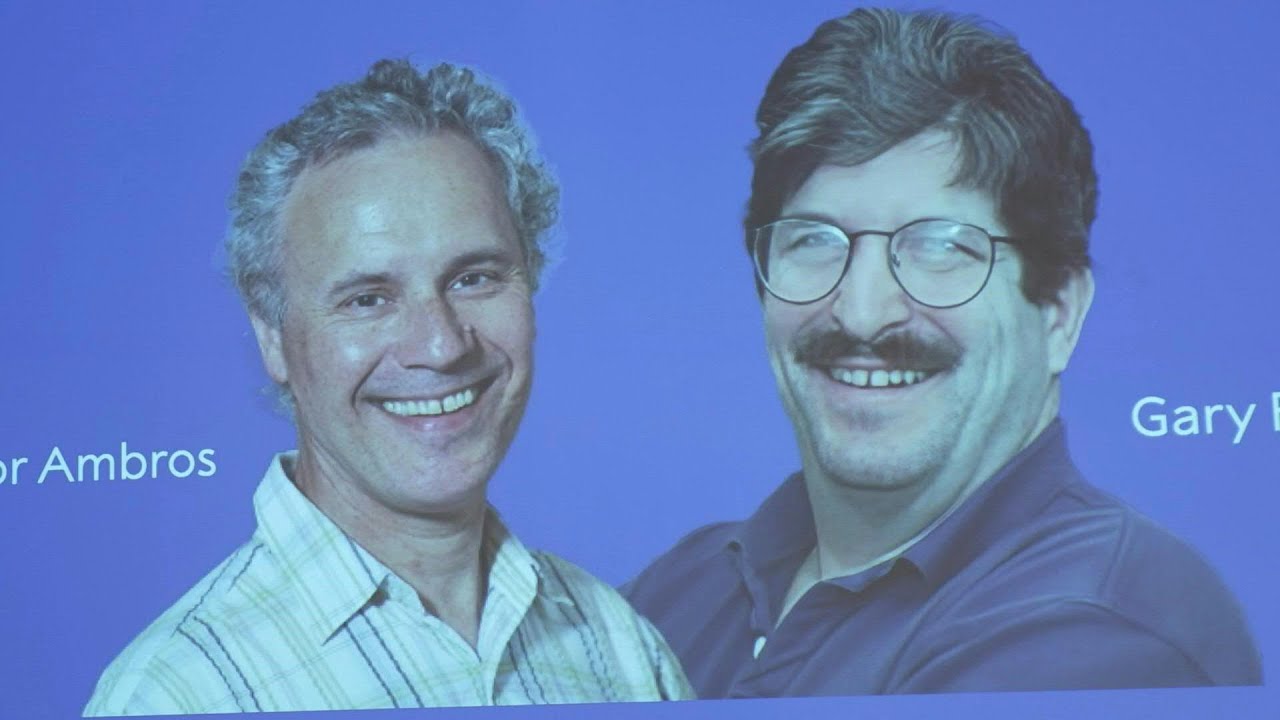 Dois americanos ganham Nobel de Medicina pela descoberta do microRNA | AFP