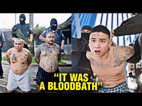 How El Salvador Destroyed Their Brutal Gangs Changes Everything!