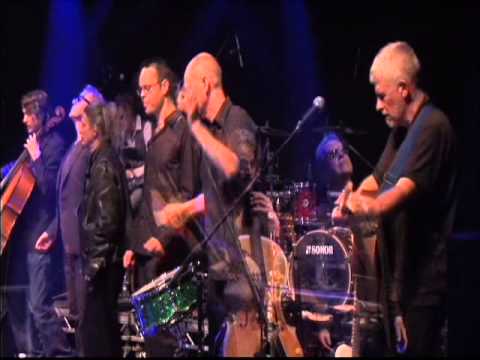 Put Out The Lights - Oysterband