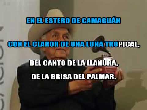 ESTEROS DE CAMAGUAN, J V TORREALBA