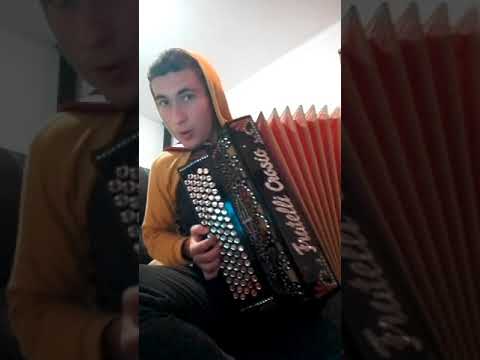 Bate o fado trigueirinha