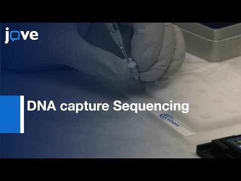 Methyl-binding DNA capture Sequencing | Protocol Preview