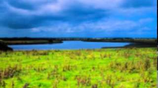 Keep Me in Mind Sweetheart