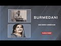 Surmedani Dildar Sandhu X Surinder Kaur Punjabi Old Song Remix