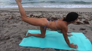 Day 1 Exercise 2 Single Let Extension on all Fours