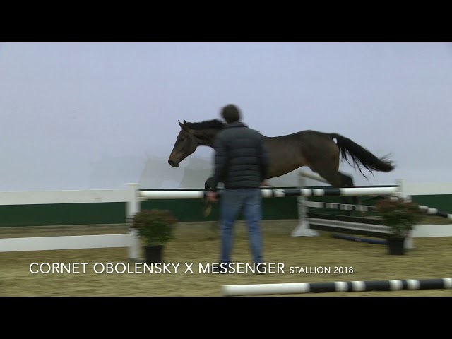 Nimblensky Bogibo Jumping