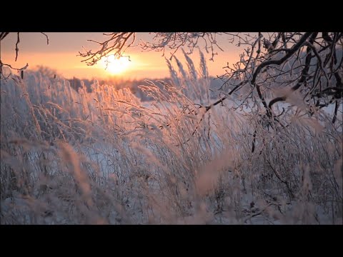 Thumbnail for The Outlaws - Song in the Breeze