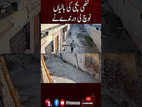 ایک شخص نے معصوم بچی کے کان کے بالیاں چھین لیں، ویڈیو وائرل