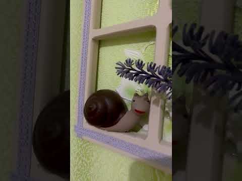 2-комнатная квартира в с. Богуново, Березовский район, Одесская область, газовое отопление, палисадник и огород