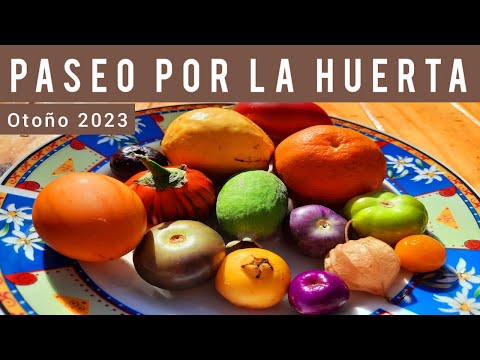 , title : '💛PASEO por la HUERTA en OTOÑO-FRUTALES y PLANTAS COMESTIBLES (FRUIT TREES and EDIBLE PLANTS)🍊 (2023)'